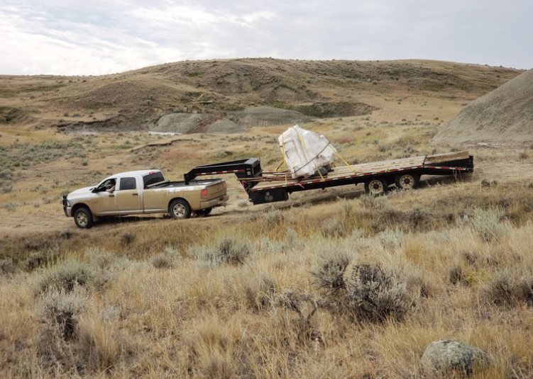 化石先生 化石先生 Mr. Fossil｜恐龍、化石與隕石帶你進入科普世界，一起更愛地球 1 2026