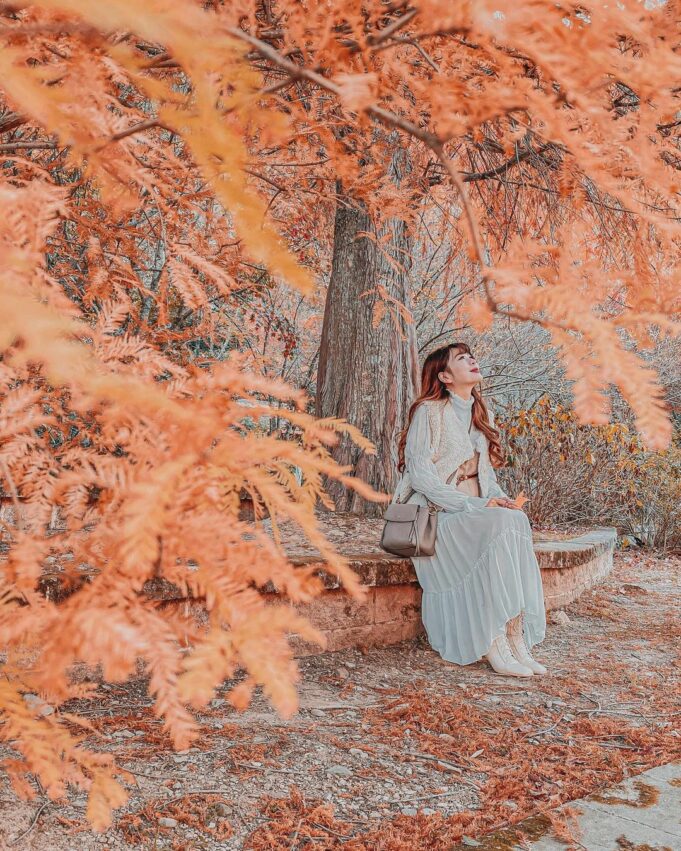 【全台休閒農場推薦】精選35座特色農場，親子農場好去處，近距離餵動物體驗