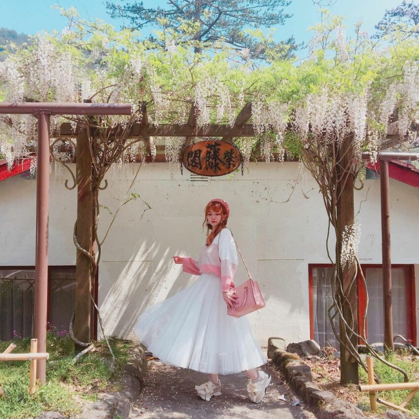 【武陵櫻花季】賞櫻攻略、開花時間、優惠門票、即時天氣、拍照地點、交通管制、住宿資訊一次攻略 【武陵櫻花季】賞櫻攻略、開花時間、優惠門票、即時天氣、拍照地點、交通管制、住宿資訊一次攻略