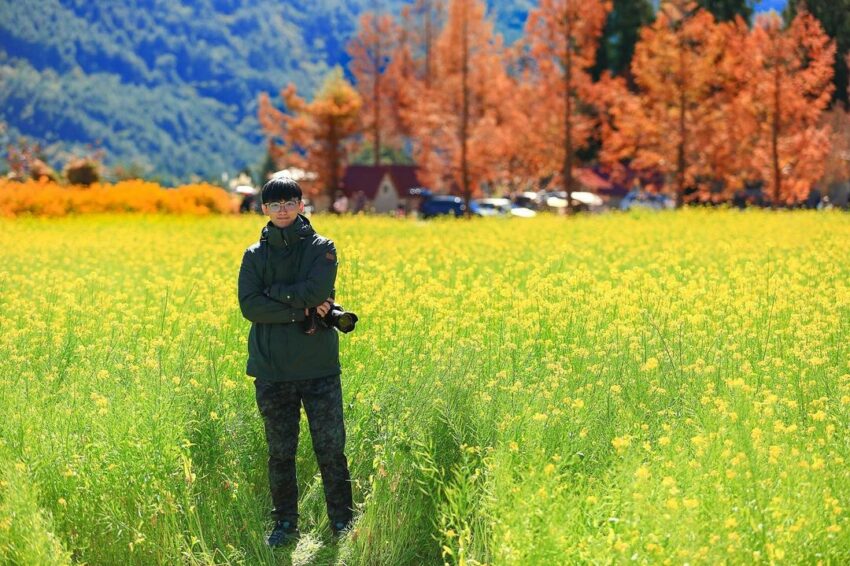 【武陵櫻花季】賞櫻攻略、開花時間、優惠門票、即時天氣、拍照地點、交通管制、住宿資訊一次攻略 【武陵櫻花季】賞櫻攻略、開花時間、優惠門票、即時天氣、拍照地點、交通管制、住宿資訊一次攻略