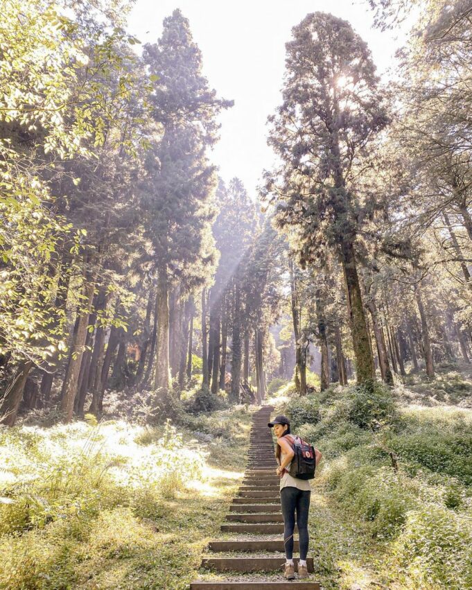 阿里山 【阿里山新八景】神木遺跡、塔山奇岩、神怡流瀑，8個阿里山必訪景點推薦！ 1 2026