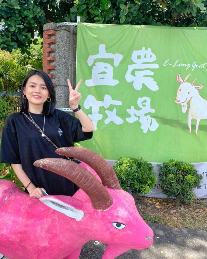 宜蘭冬山【宜農牧場】玩蹦蹦車、擠羊奶、親子餵小動物《交通&附近景點》