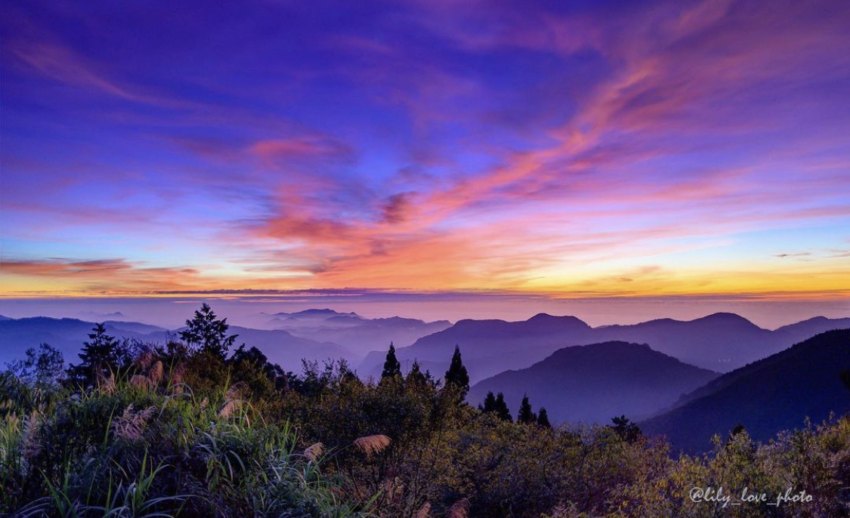 必看阿里山五奇奇景：日出、雲海、晚霞、森林、鐵道