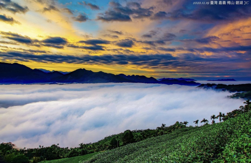 必看阿里山五奇奇景：日出、雲海、晚霞、森林、鐵道