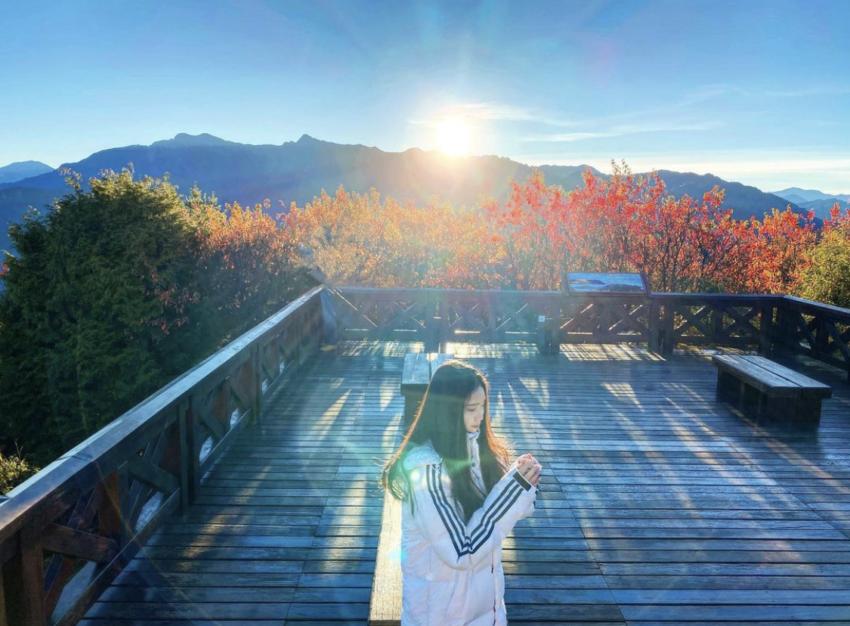 必看阿里山五奇奇景：日出、雲海、晚霞、森林、鐵道