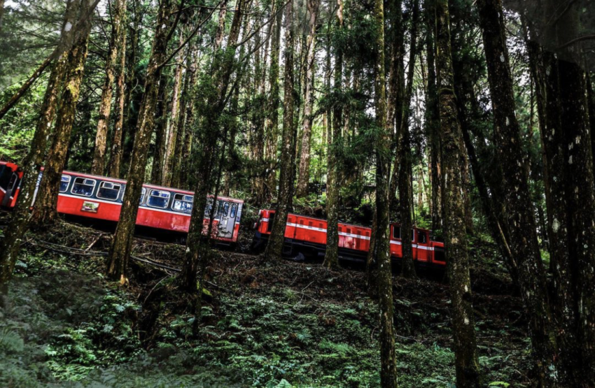 【阿里山國家森林遊樂區】阿里山森林遊樂區怎麼玩?一篇交通/景點/住宿/美食全攻略 【阿里山國家森林遊樂區】阿里山森林遊樂區怎麼玩?一篇交通/景點/住宿/美食全攻略