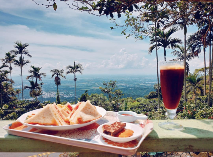【阿里山民宿】推薦超美山居民宿、星空玻璃屋不藏私~阿里山周邊民宿看這篇! 【阿里山民宿】推薦超美山居民宿、星空玻璃屋不藏私~阿里山周邊民宿看這篇!