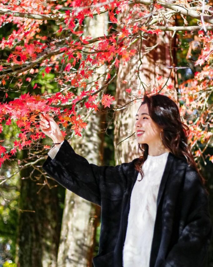 武陵農場花季, 楓葉, 武陵賞楓, 武陵楓葉, 武陵農場