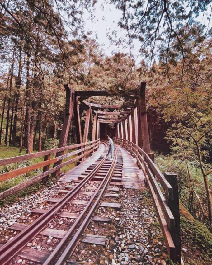 【阿里山新八景】神木遺跡、塔山奇岩、神怡流瀑，阿里山必訪景點推薦！