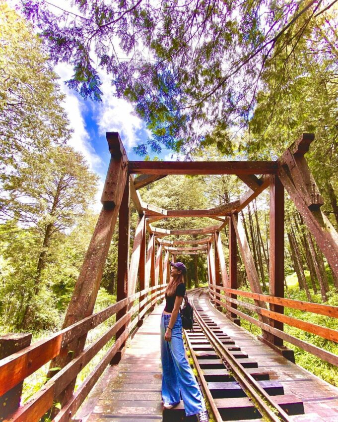 【阿里山新八景】神木遺跡、塔山奇岩、神怡流瀑，阿里山必訪景點推薦！