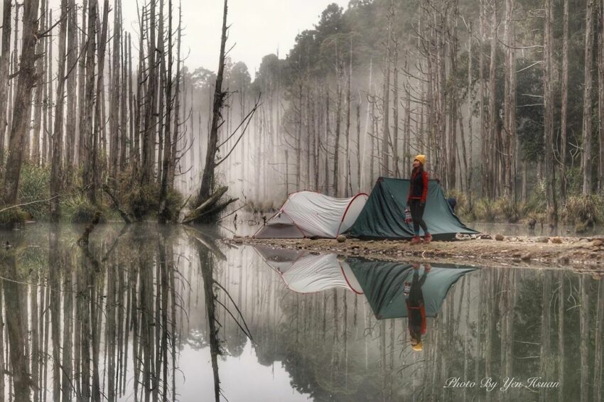 【阿里山景點攻略】嘉義阿里山旅遊路線，阿里山行程規劃快看這篇！