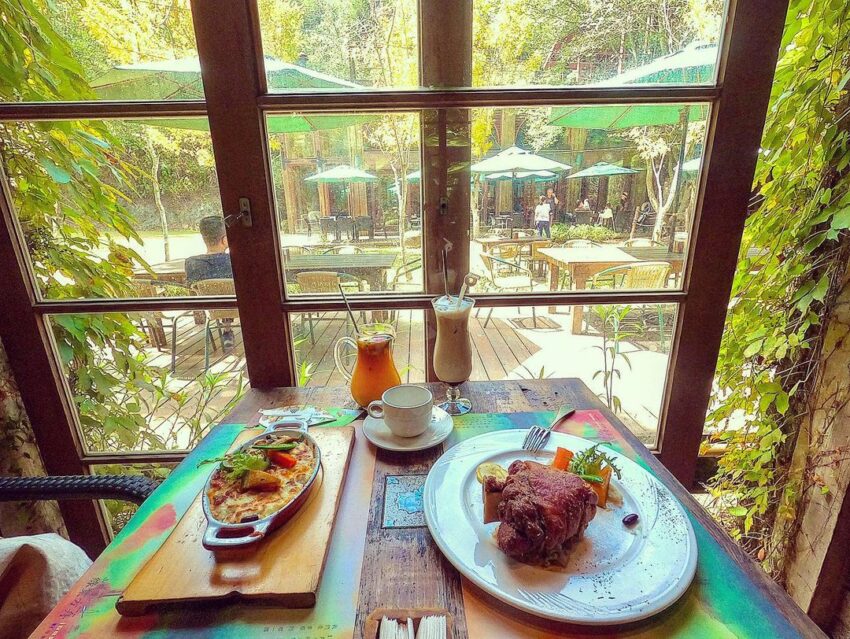 綠葉方舟 Green Ark