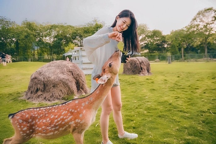 【阿里山景點攻略】嘉義阿里山旅遊路線，阿里山行程規劃快看這篇！