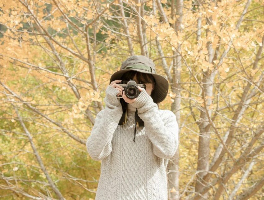 武陵農場花季, 銀杏