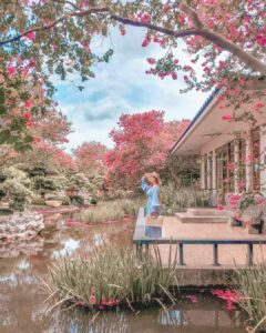 彰化日式景點推薦｜不用出國也可以感受到滿滿禪風