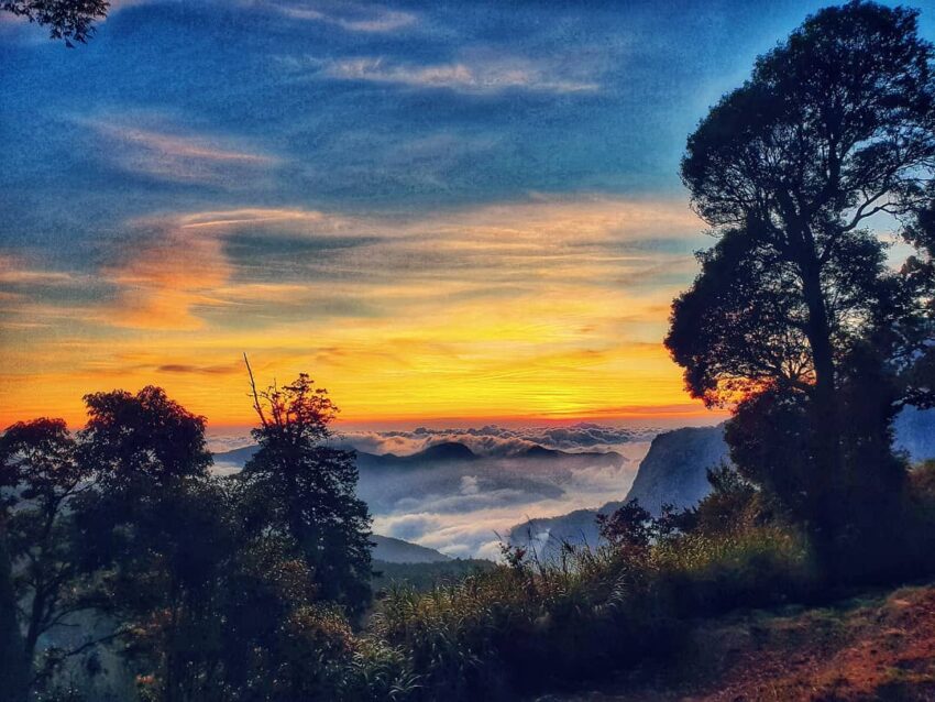 【阿里山新八景】神木遺跡、塔山奇岩、神怡流瀑，阿里山必訪景點推薦！
