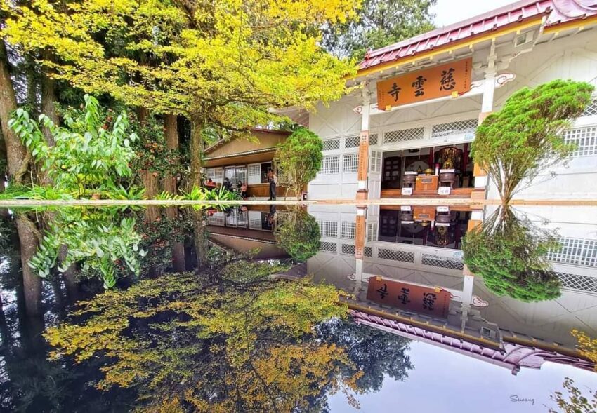 【阿里山國家森林遊樂區】阿里山森林遊樂區怎麼玩?一篇交通/景點/住宿/美食全攻略 【阿里山國家森林遊樂區】阿里山森林遊樂區怎麼玩?一篇交通/景點/住宿/美食全攻略