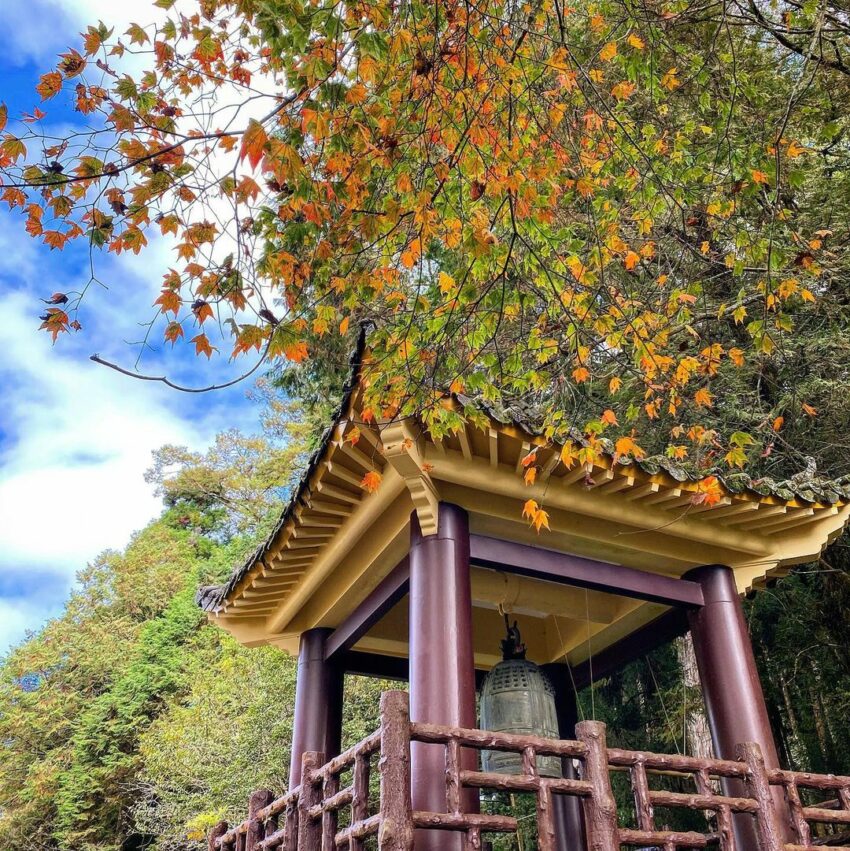 【阿里山新八景】神木遺跡、塔山奇岩、神怡流瀑，阿里山必訪景點推薦！