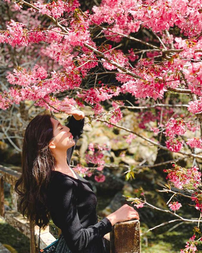 【清明連假旅遊攻略】兒童清明連假4天想去哪玩！全台超夯旅遊行程一次幫你敲定