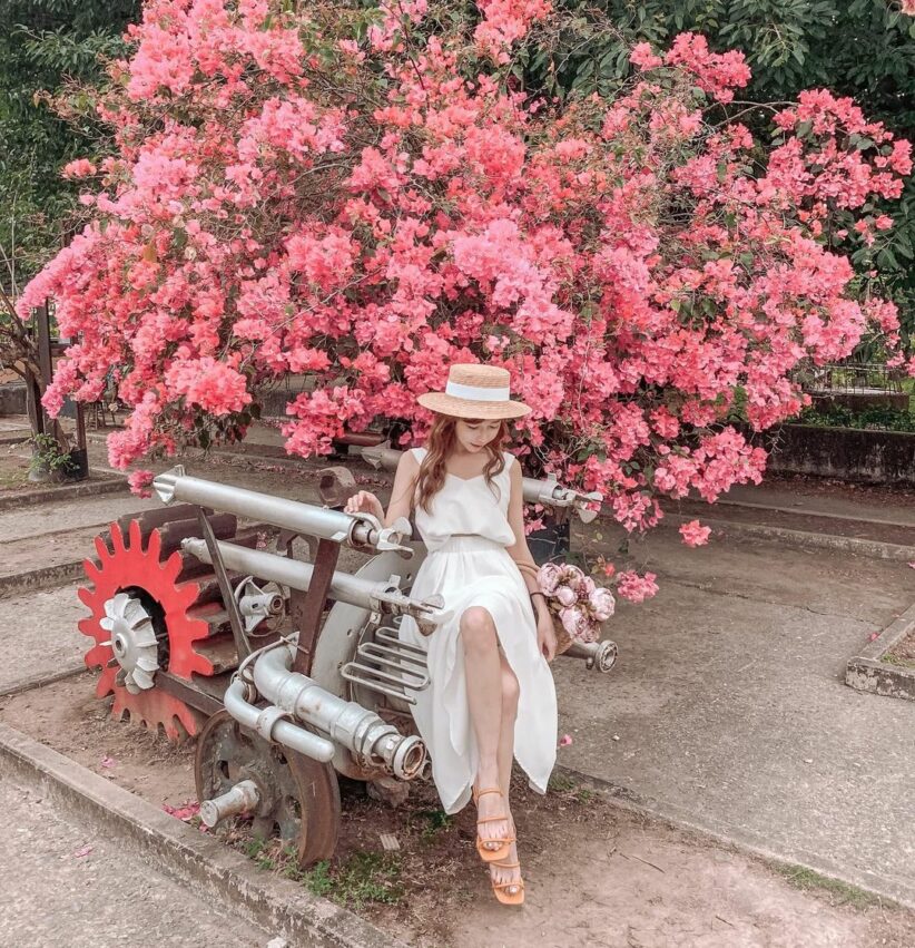 【高雄橋頭糖廠】吃冰搭五分車＆賽車趣，日式建築超好拍！《美食＆門票＆交通停車》