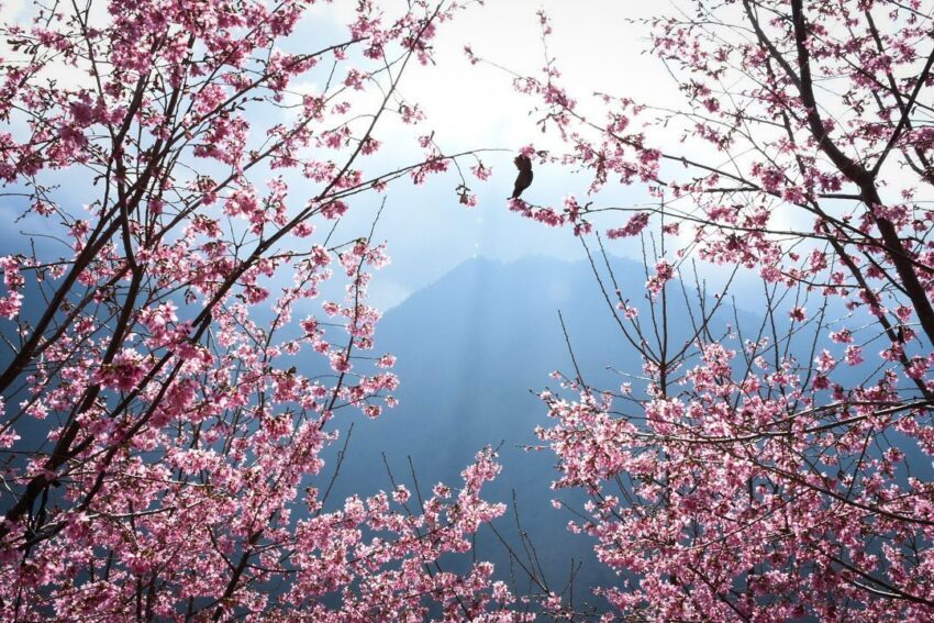 【新竹景點推薦】精選60個新竹一日遊景點，多條新竹旅遊路線，跟著我們玩遍新竹！