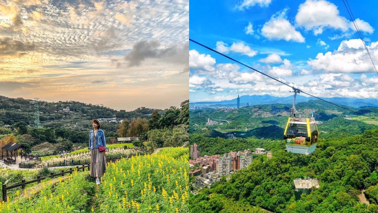 貓空景點6大推薦！貓空秘境賞魯冰花、玩動物園、貓空必吃美食一次看