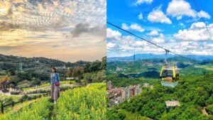 貓空景點6大推薦！貓空秘境賞魯冰花、玩動物園、貓空必吃美食一次看