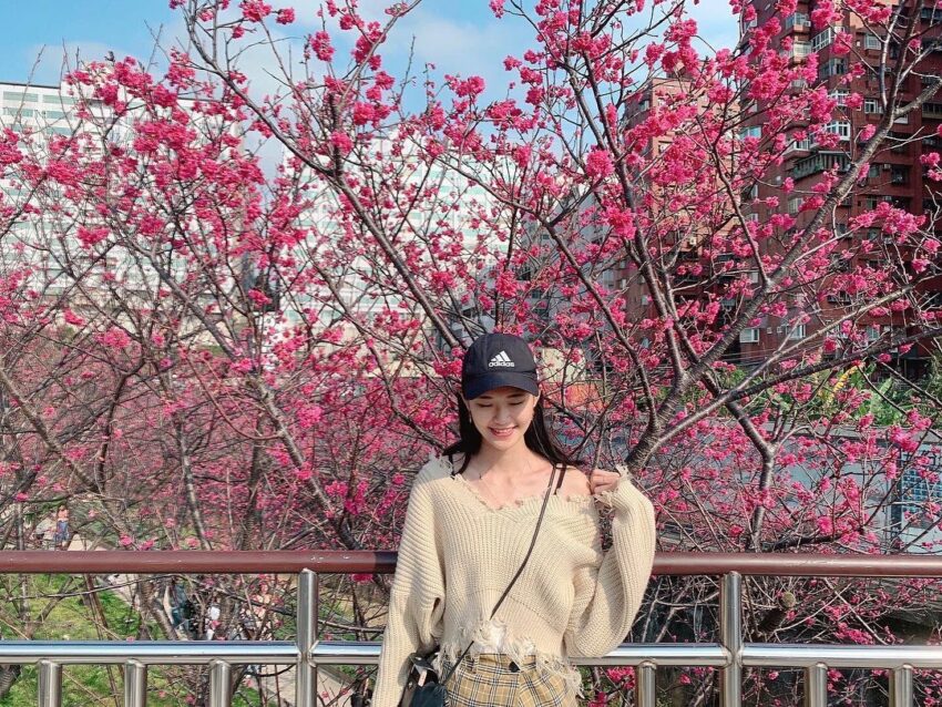 【台灣賞櫻景點】推薦全台超夯賞櫻花景點，春季賞櫻旅遊攻略【櫻花花期/賞櫻路線/交通指南】