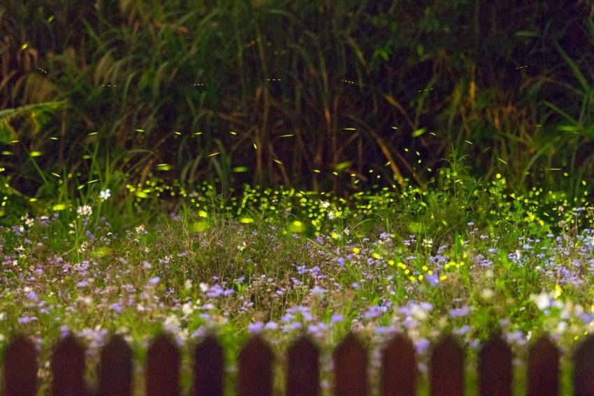 【苗栗住宿推薦】嚴選25間超人氣苗栗飯店，南庄/三義/卓蘭/泰安通通有！
