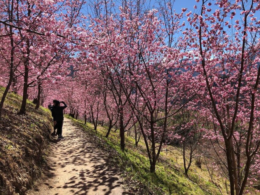 【新竹登山步道推薦】精選新竹爬山景點/健行步道，此生必爬六星級秘境步道推薦！