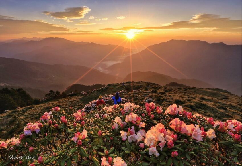 合歡山氣候 4~6月