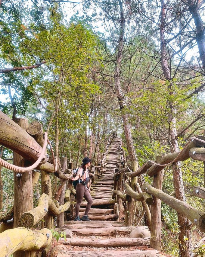 台中登山步道 台中登山步道｜精選不同等級台中步道，從親子休閒新手級到台灣百岳挑戰型都有 7 2026