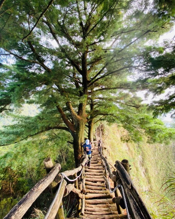 【大坑步道】從新手入門到登山老手、大坑風景區12條不同等級登山步道、難易度攻略介紹