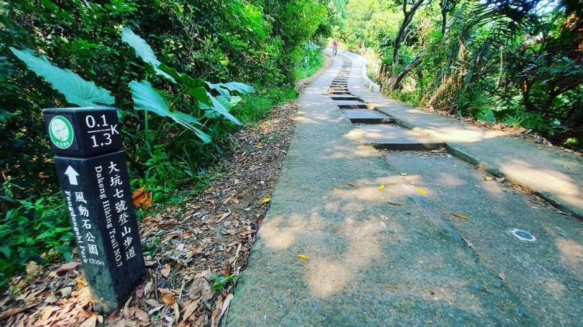 【大坑步道】從新手入門到登山老手、大坑風景區12條不同等級登山步道、難易度攻略介紹