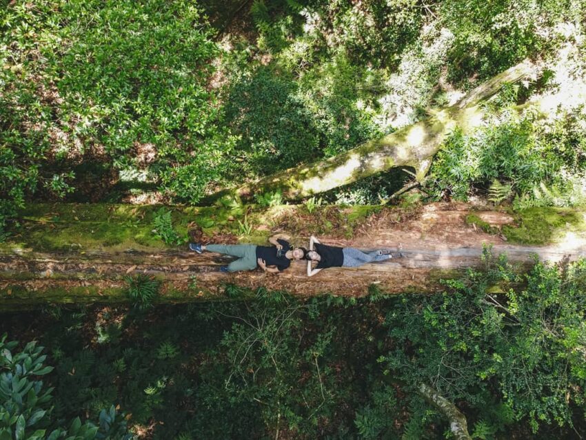 【新竹登山步道推薦】精選新竹爬山景點/健行步道，此生必爬六星級秘境步道推薦！