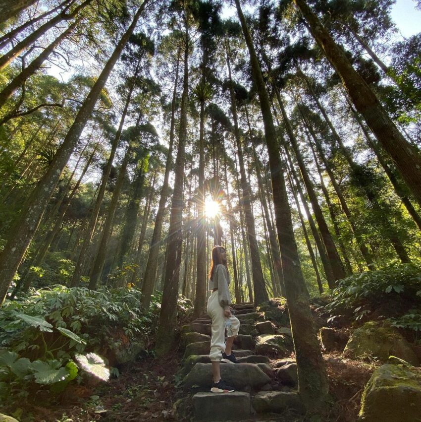 新竹登山步道/馬武督探索森林/綠光小學