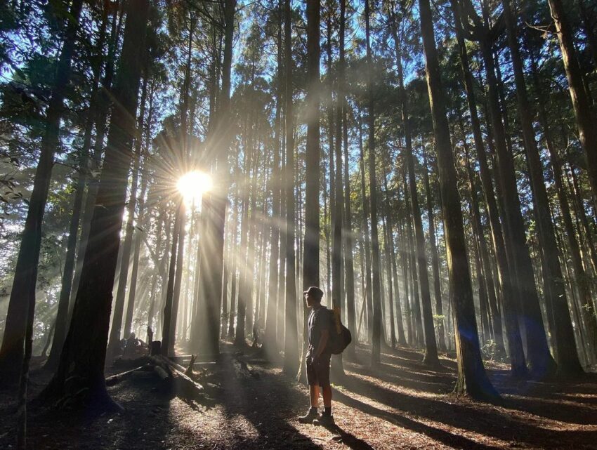 新竹登山步道/高島縱走/高台山/小島田山/中島田山/大島田山