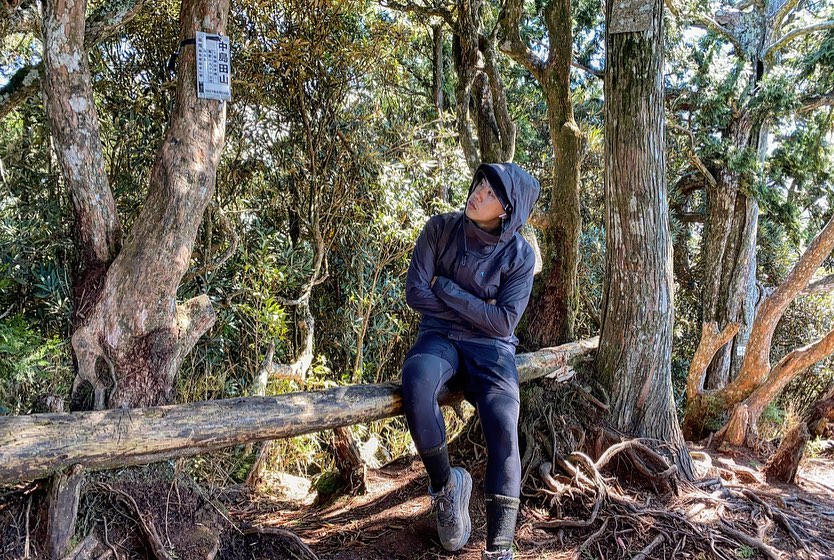 新竹尖石高島縱走|六星級療癒系森林步道秘境【登山路線/注意事項/交通指南】 高島縱走