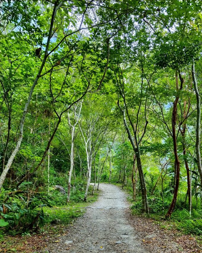 小錐麓步道 【花蓮小錐麓步道】新手級步道，觀景、賞斷崖、遊吊橋｜步行路線＆交通停車＆附近景點 7 2026