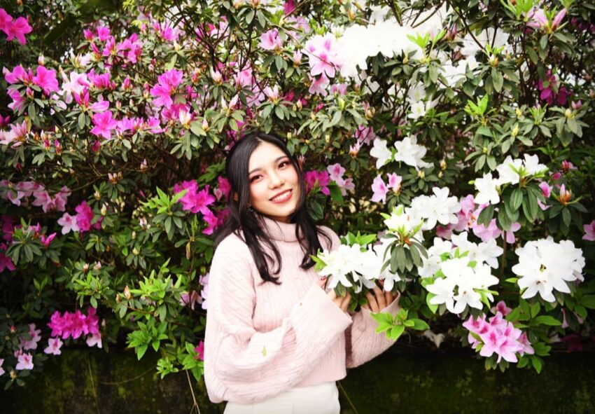 【台北杜鵑花季】精選大台北花季賞花景點地圖&活動地點&杜鵑花季時間