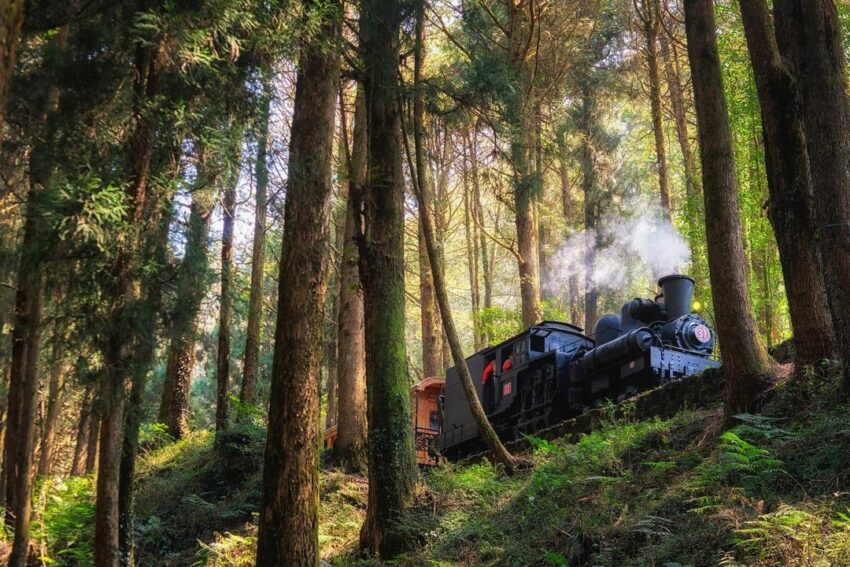 搭阿里山小火車一日遊怎麼玩？阿里山火車訂票教學、車票價格、10大必訪景點路線一次看！