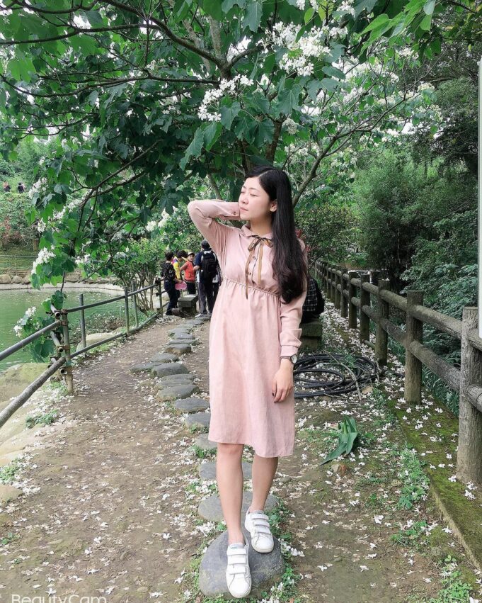 新竹賞桐景點｜推薦八條「新竹桐花步道」日賞油桐花、夜賞螢火蟲