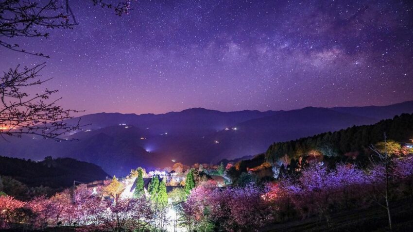 【山上人家森林農場一日遊】新竹雲端上的賞櫻秘境《門票/住宿/接駁車懶人包》