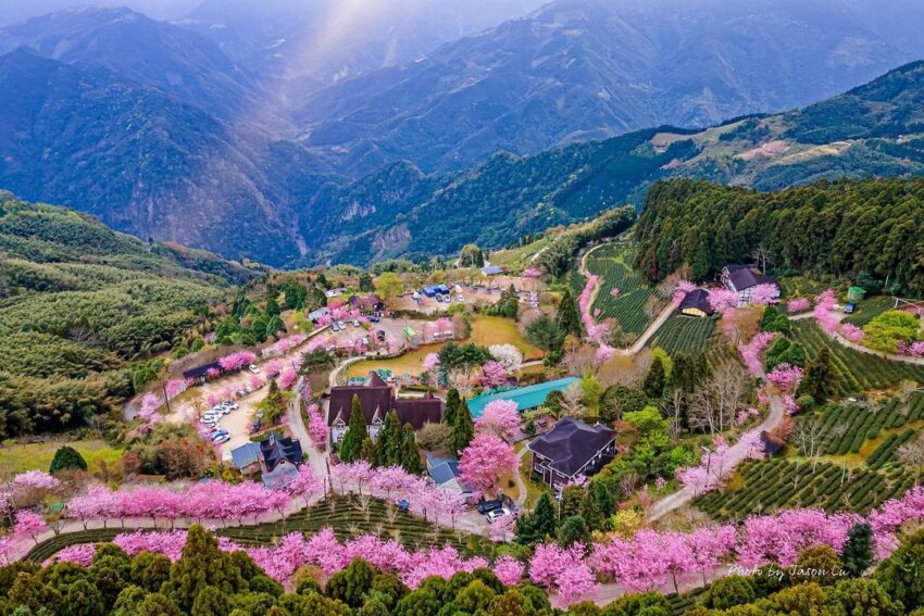【山上人家森林農場一日遊】新竹雲端上的賞櫻秘境《門票/住宿/接駁車懶人包》