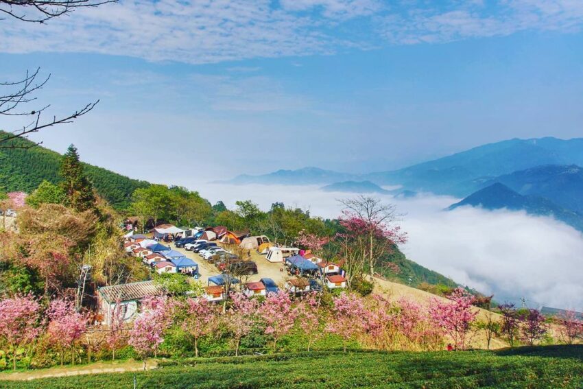【山上人家森林農場一日遊】新竹雲端上的賞櫻秘境《門票/住宿/接駁車懶人包》