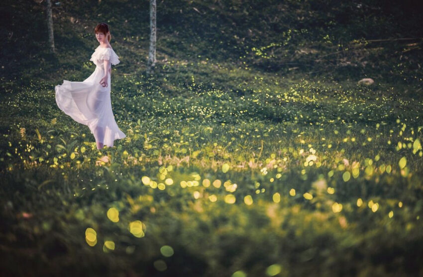 新竹內灣螢火蟲季