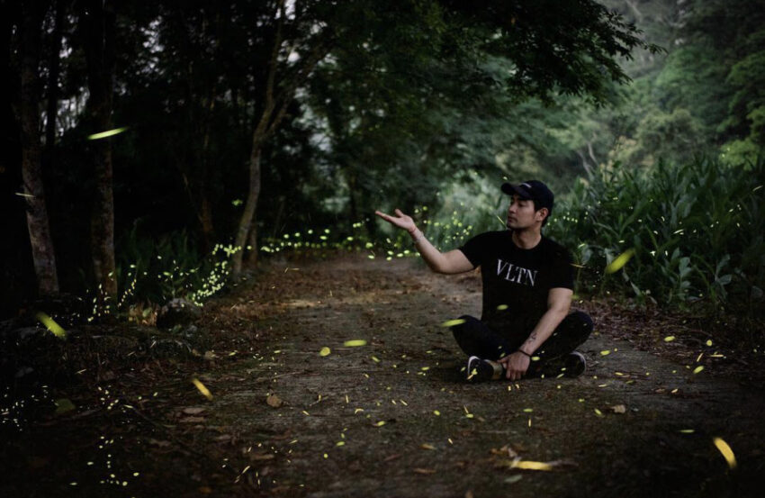 新竹內灣螢火蟲季