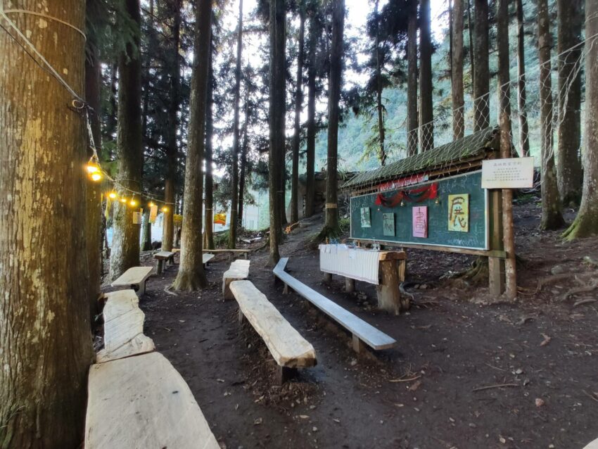 鎮西堡步道 | 鎮西堡一日遊新手必看攻略【路況交通、景點、天氣、千年神木】