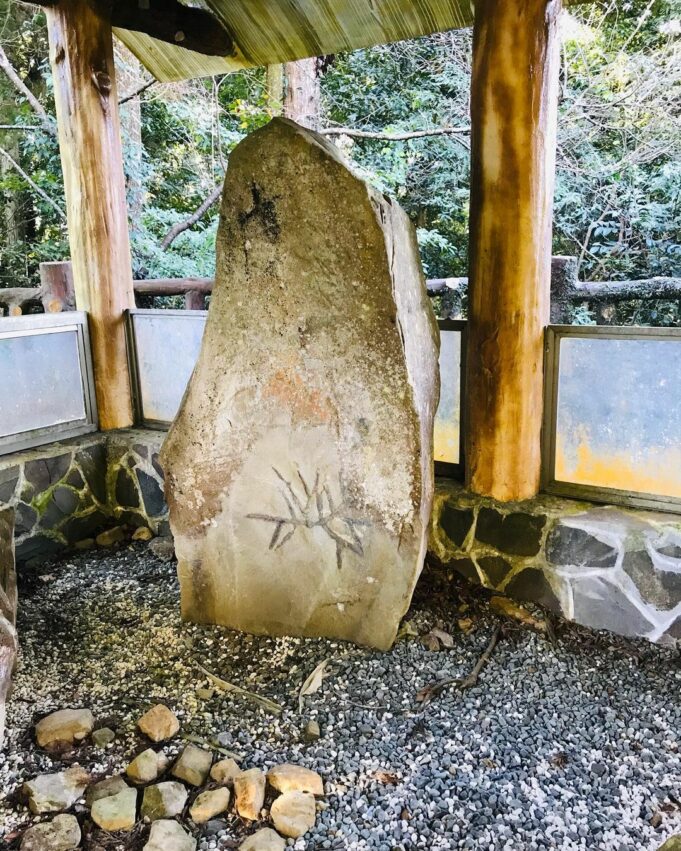 【東眼山國家森林遊樂區】桃園東眼山一日遊，門票優惠，東眼山步道攻略，攻頂桃園小百岳，！