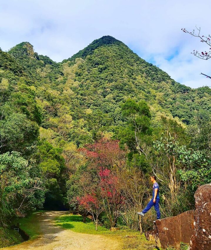 【東眼山國家森林遊樂區】桃園東眼山一日遊，門票優惠，東眼山步道攻略，攻頂桃園小百岳，！